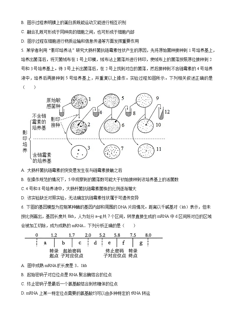 2024福州一中高三上学期期末考试生物含解析第2页