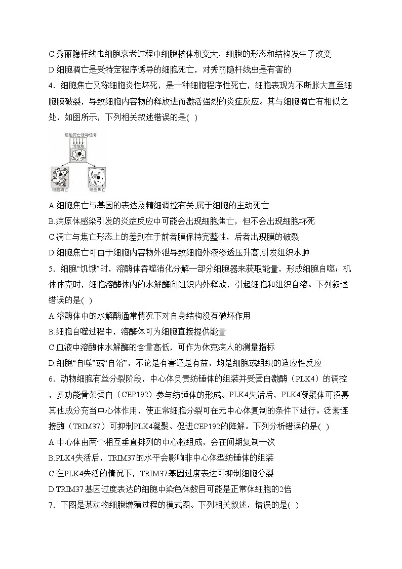 专题五 细胞的生命历程——2024届高考生物学二轮复习易错重难集训【新高考版】(含答案)第2页
