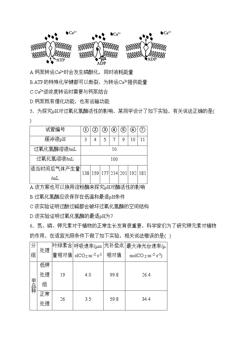 重庆市2024届普通高等学校招生全国统一考试高考模拟调研(一)生物试卷(含答案)第2页