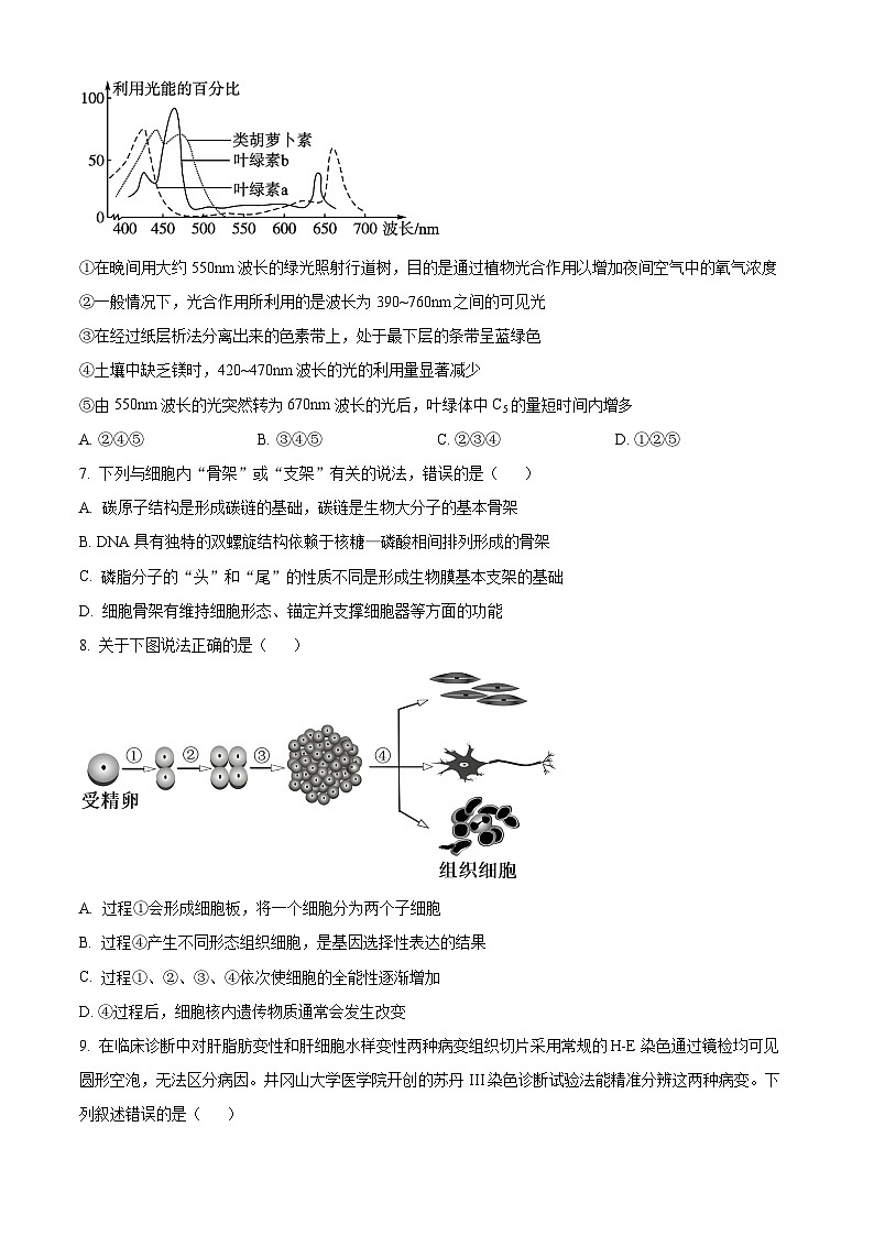 精品解析:河南省漯河市2023-2024学年高二上学期期末质量检测生物试题(原卷版)第3页