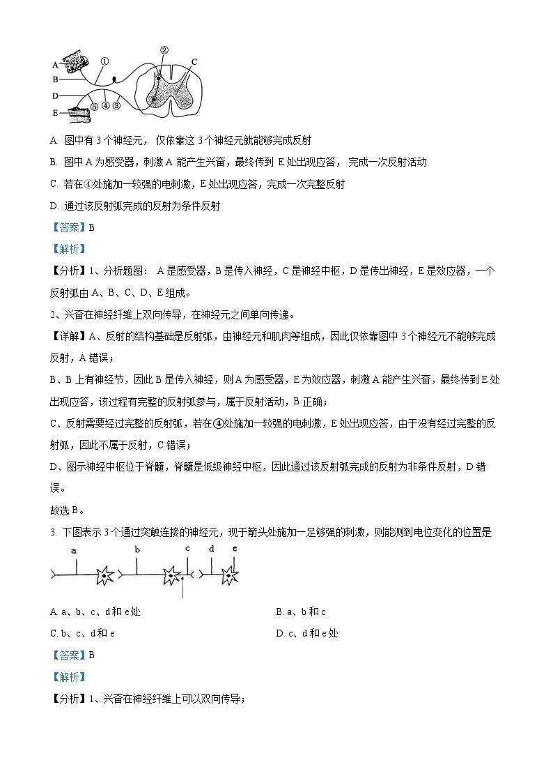 黑龙江省大庆外国语学校2023-2024学年高二下学期开学质量检测生物试题（原卷版+解析版）02