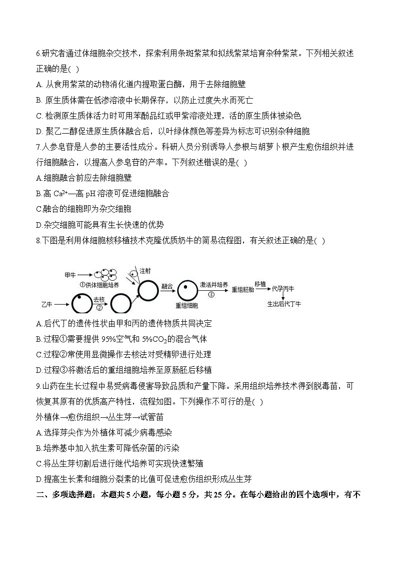 第二章 细胞工程—2023-2024学年高二生物学苏教版(2019)选择性必修三单元检测卷(A卷)第3页