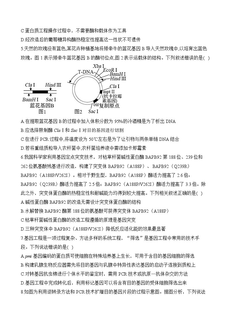 第三章 基因工程—2023-2024学年高二生物学苏教版(2019)选择性必修三单元检测卷(A卷)02