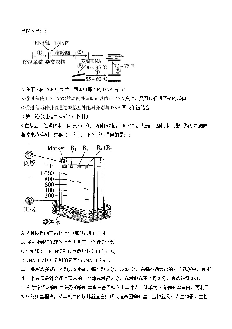 第三章 基因工程—2023-2024学年高二生物学苏教版(2019)选择性必修三单元检测卷(A卷)03