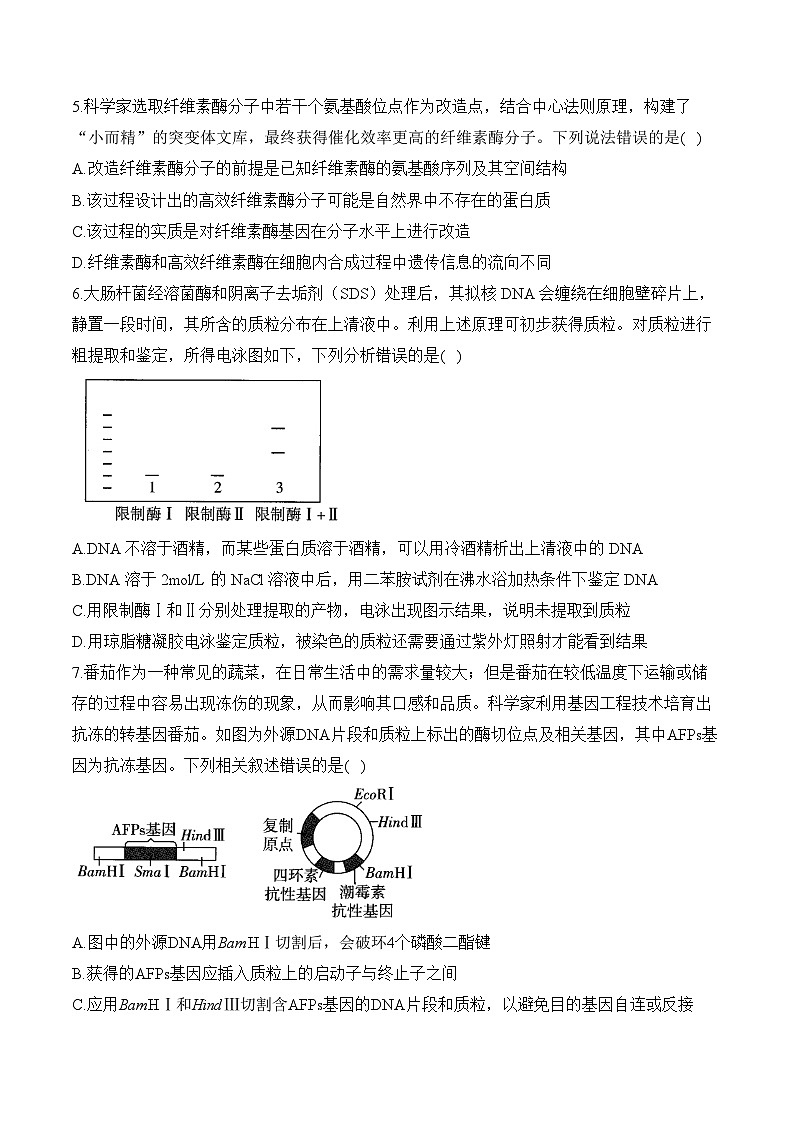第三章 基因工程—2023-2024学年高二生物学苏教版(2019)选择性必修三单元检测卷(B卷)第2页