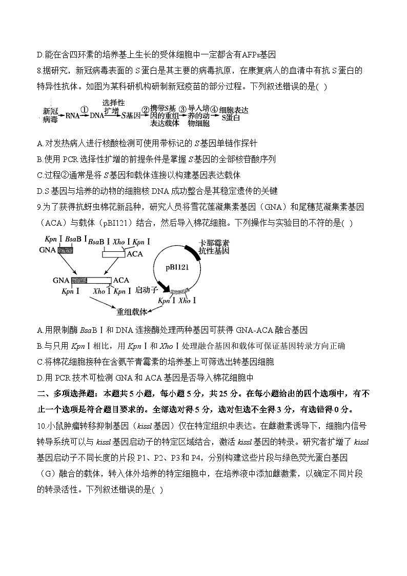 第三章 基因工程—2023-2024学年高二生物学苏教版(2019)选择性必修三单元检测卷(B卷)第3页
