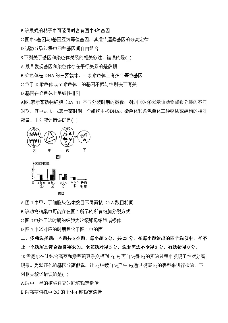 第一章 遗传的细胞基础—2023-2024学年高一生物学苏教版(2019)必修二单元检测卷(A卷)第3页