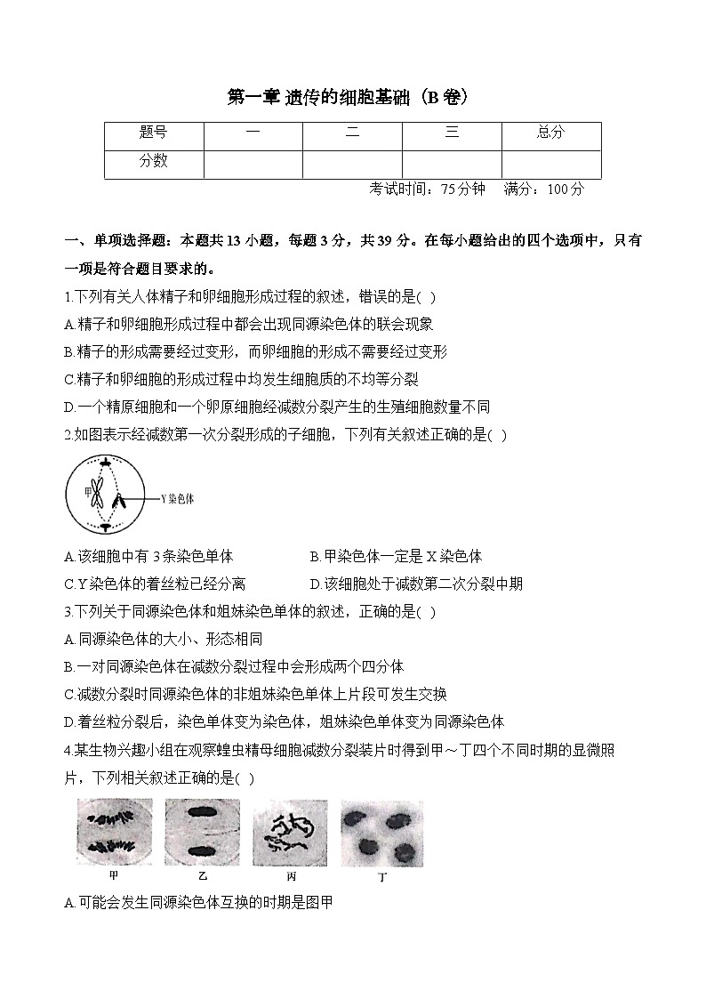 第一章 遗传的细胞基础—2023-2024学年高一生物学苏教版(2019)必修二单元检测卷(B卷)第1页
