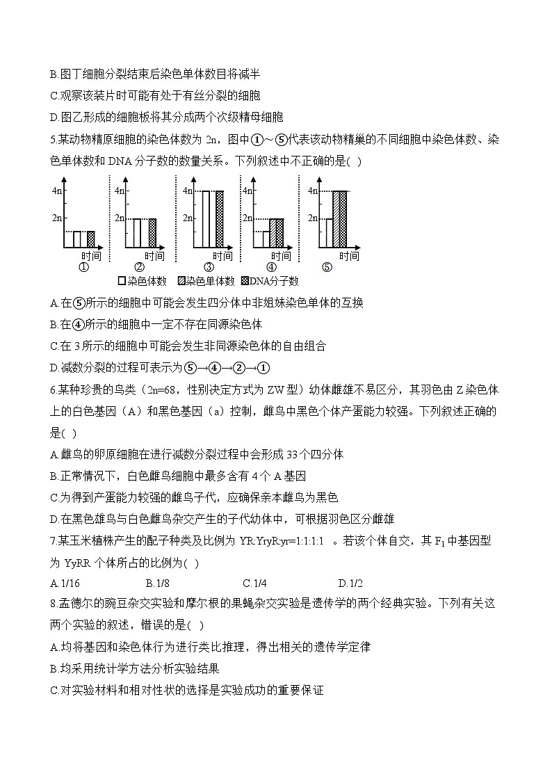 第一章 遗传的细胞基础—2023-2024学年高一生物学苏教版(2019)必修二单元检测卷(B卷)第2页