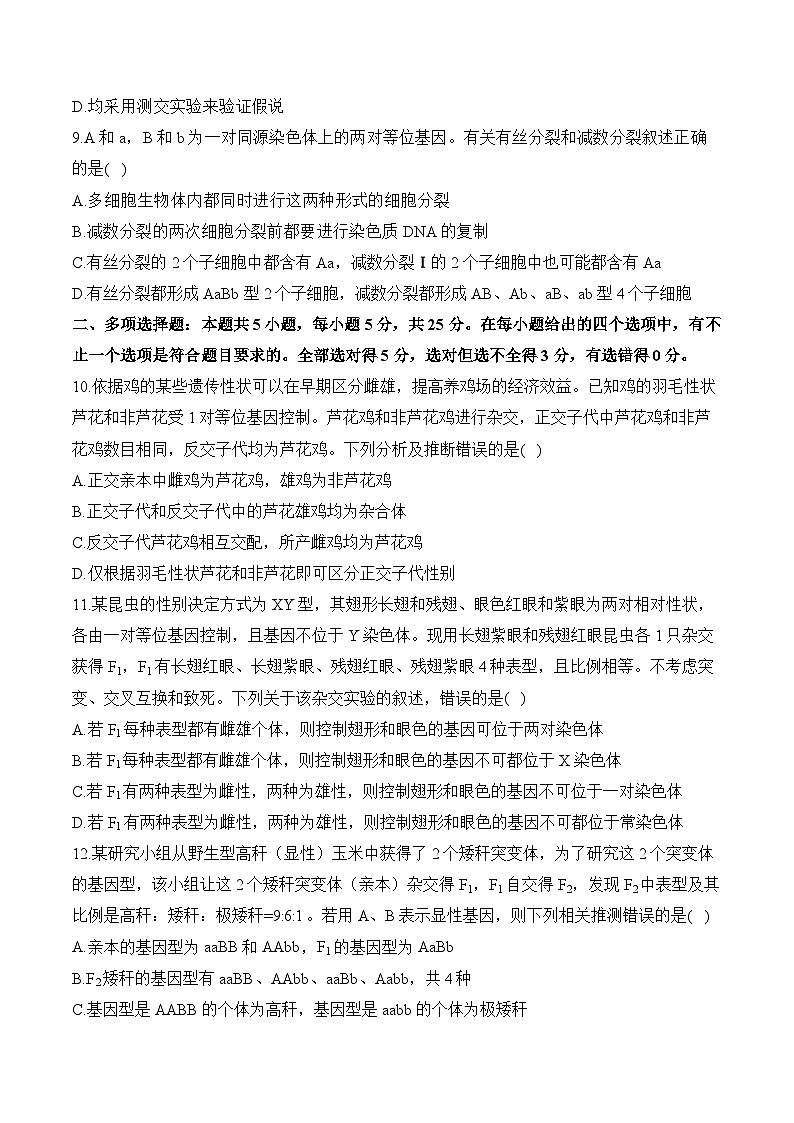 第一章 遗传的细胞基础—2023-2024学年高一生物学苏教版(2019)必修二单元检测卷(B卷)第3页