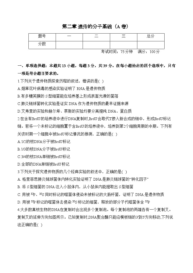 第二章 遗传的分子基础—2023-2024学年高一生物学苏教版(2019)必修二单元检测卷(A卷)01