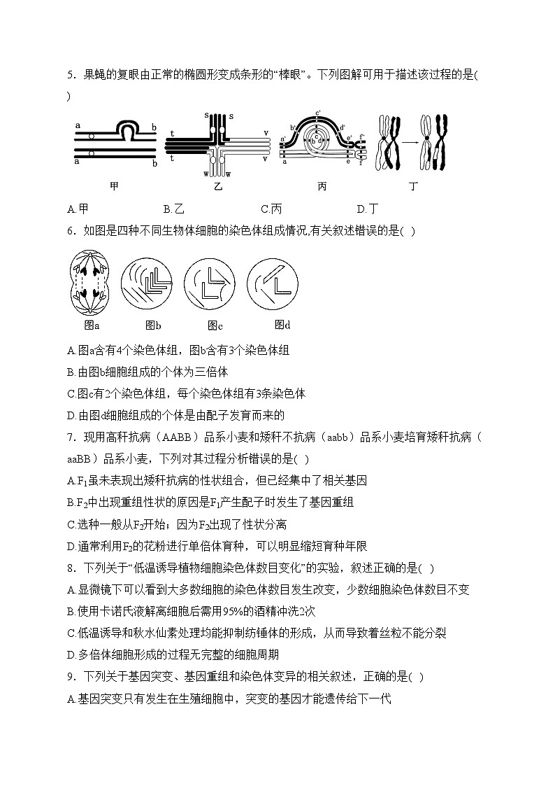 第三章 生物的变异 B卷——2023-2024学年高一生物学苏教版(2019)必修二单元双测卷(含答案)02