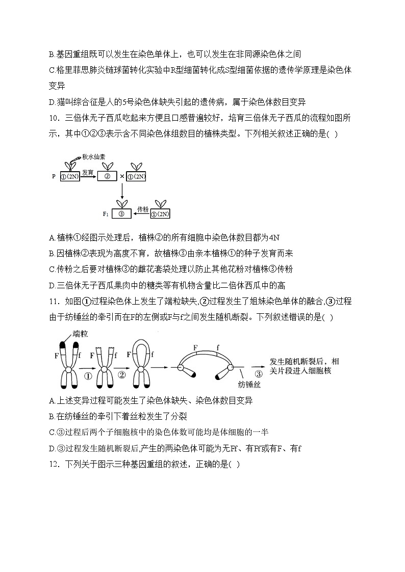 第三章 生物的变异 B卷——2023-2024学年高一生物学苏教版(2019)必修二单元双测卷(含答案)03