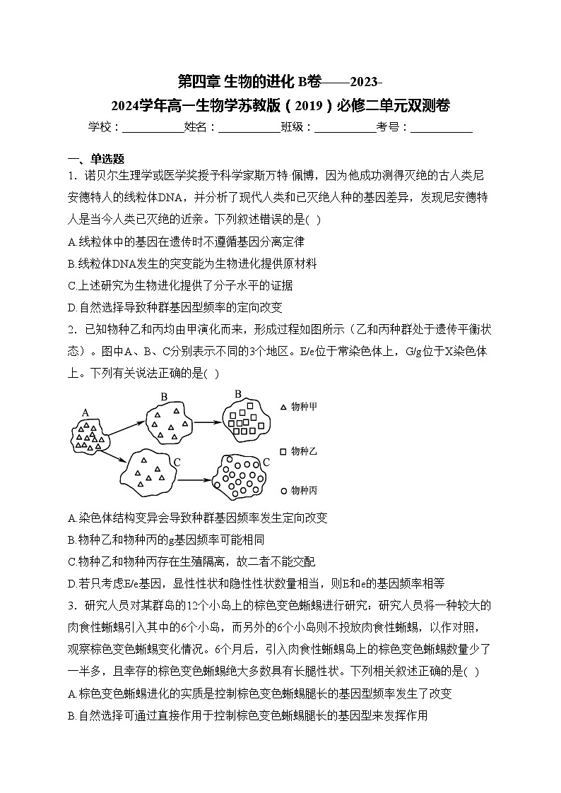 第四章 生物的进化 B卷——2023-2024学年高一生物学苏教版(2019)必修二单元双测卷(含答案)01
