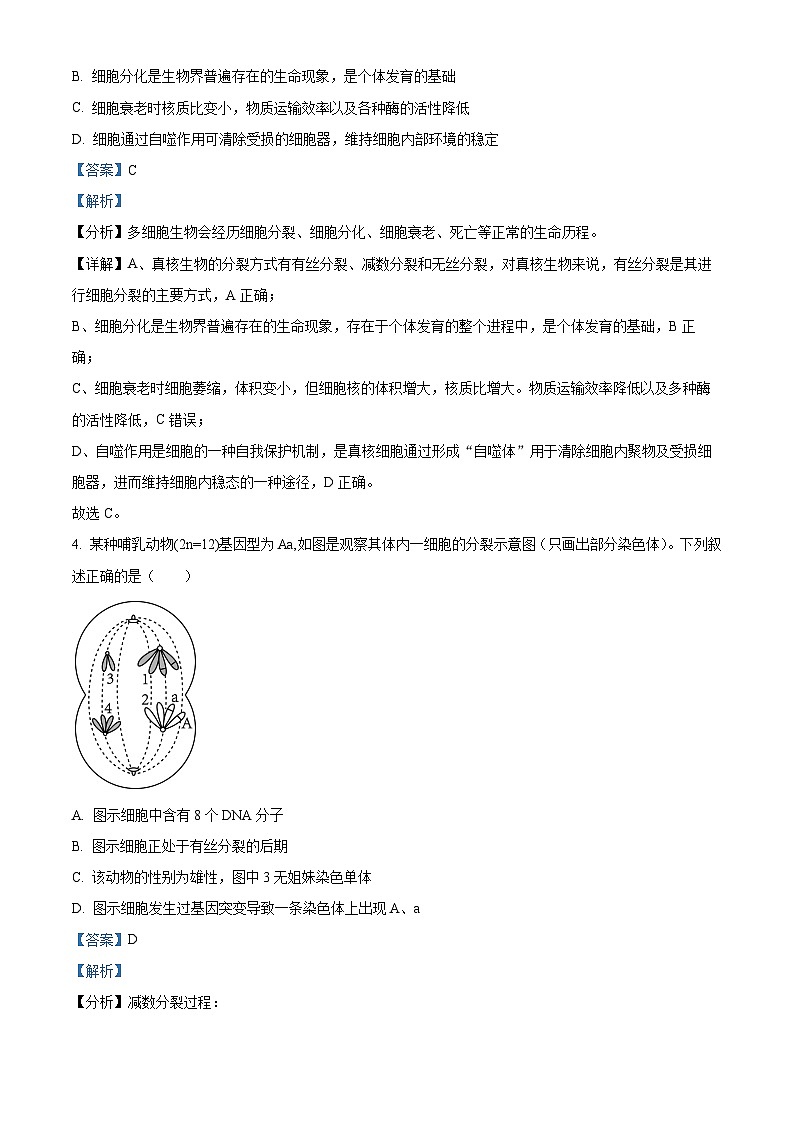 安徽省池州市2023-2024学年高三1月期末生物试题 Word版含解析第3页