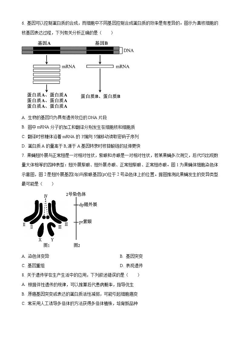 安徽省池州市2023-2024学年高三1月期末生物试题 Word版无答案第3页