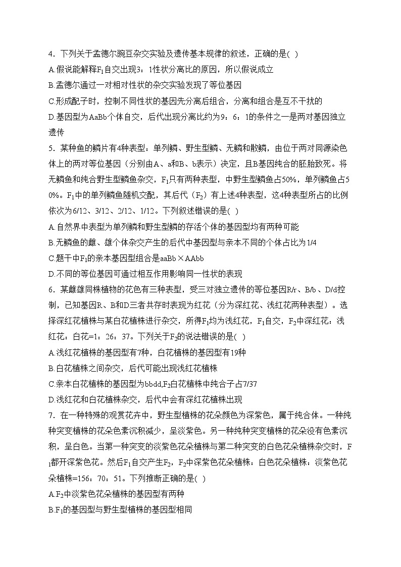 (1)遗传因子的发现——2023-2024学年高一生物学人教版(2019)必修二单元双测卷(B卷)(含答案)第2页