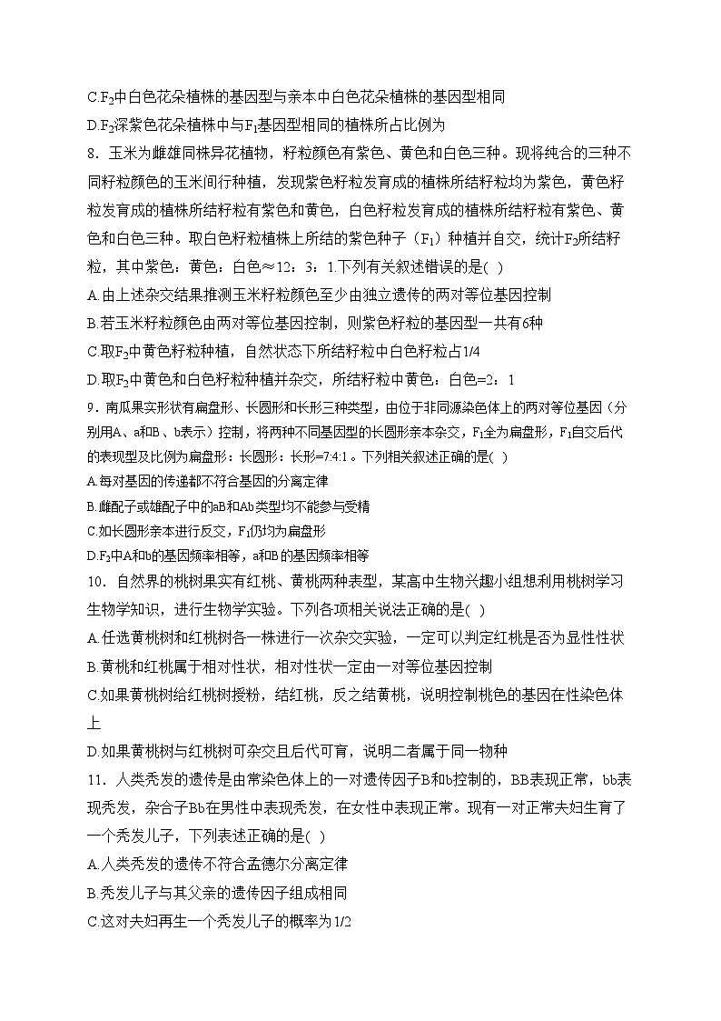 (1)遗传因子的发现——2023-2024学年高一生物学人教版(2019)必修二单元双测卷(B卷)(含答案)第3页