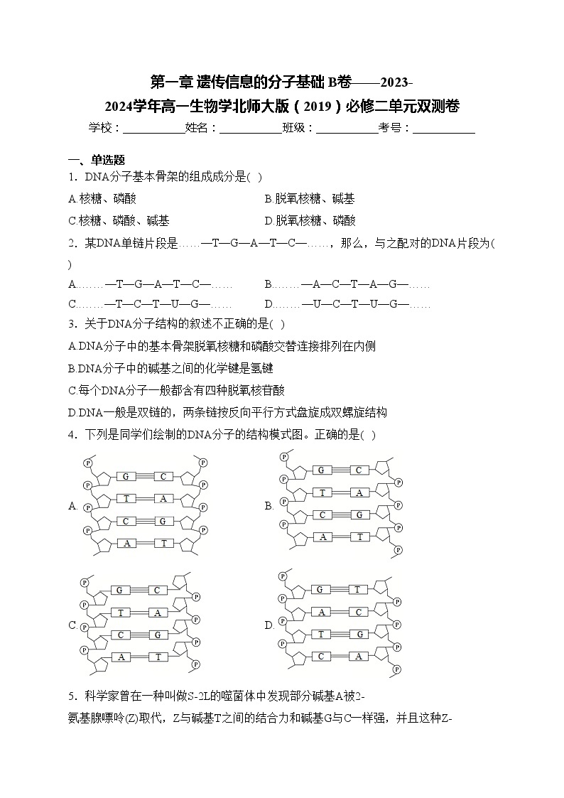 第一章 遗传信息的分子基础 B卷——2023-2024学年高一生物学北师大版（2019）必修二单元双测卷(含答案)01