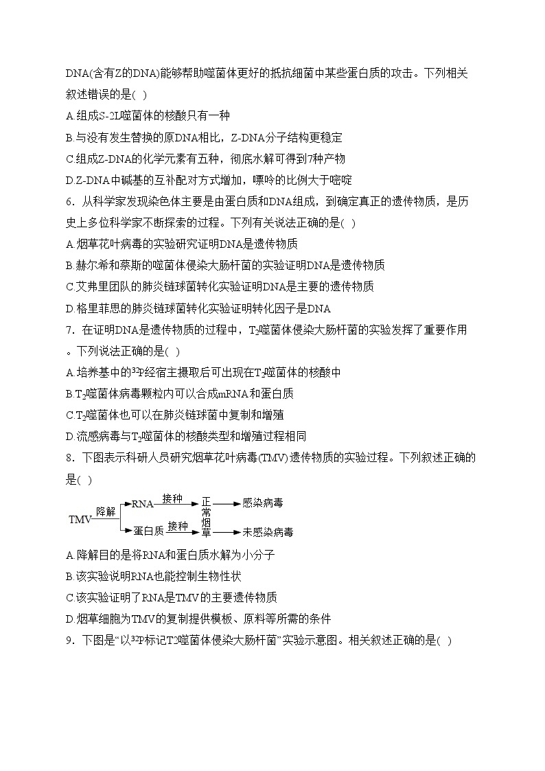 第一章 遗传信息的分子基础 B卷——2023-2024学年高一生物学北师大版（2019）必修二单元双测卷(含答案)02