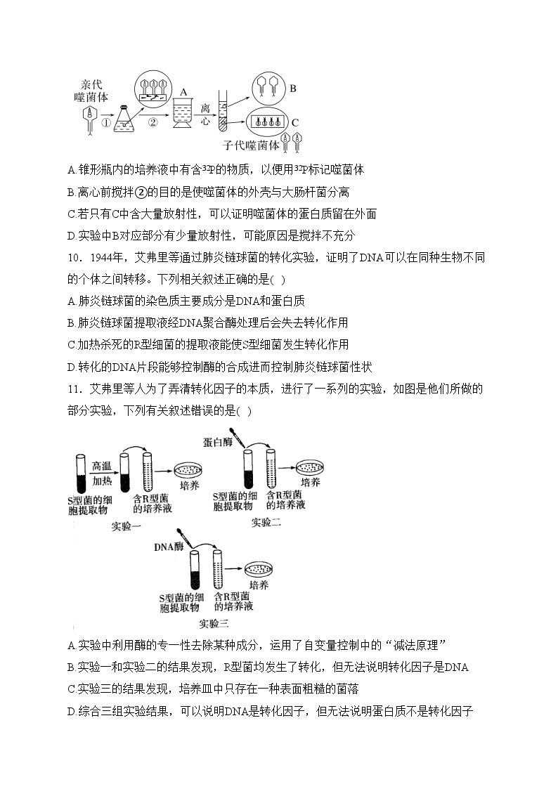 第一章 遗传信息的分子基础 B卷——2023-2024学年高一生物学北师大版（2019）必修二单元双测卷(含答案)03