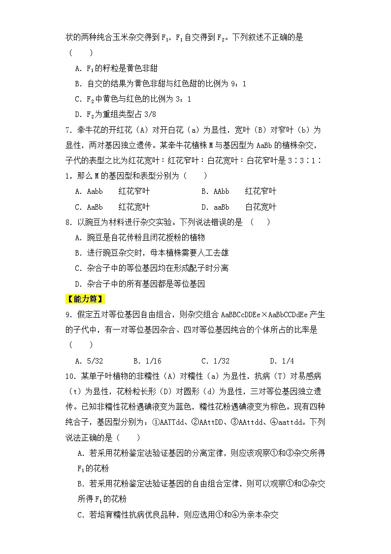 人教版高中生物必修二1.2孟德尔的豌豆杂交实验(二)同步分层练习(含答案解析)第2页