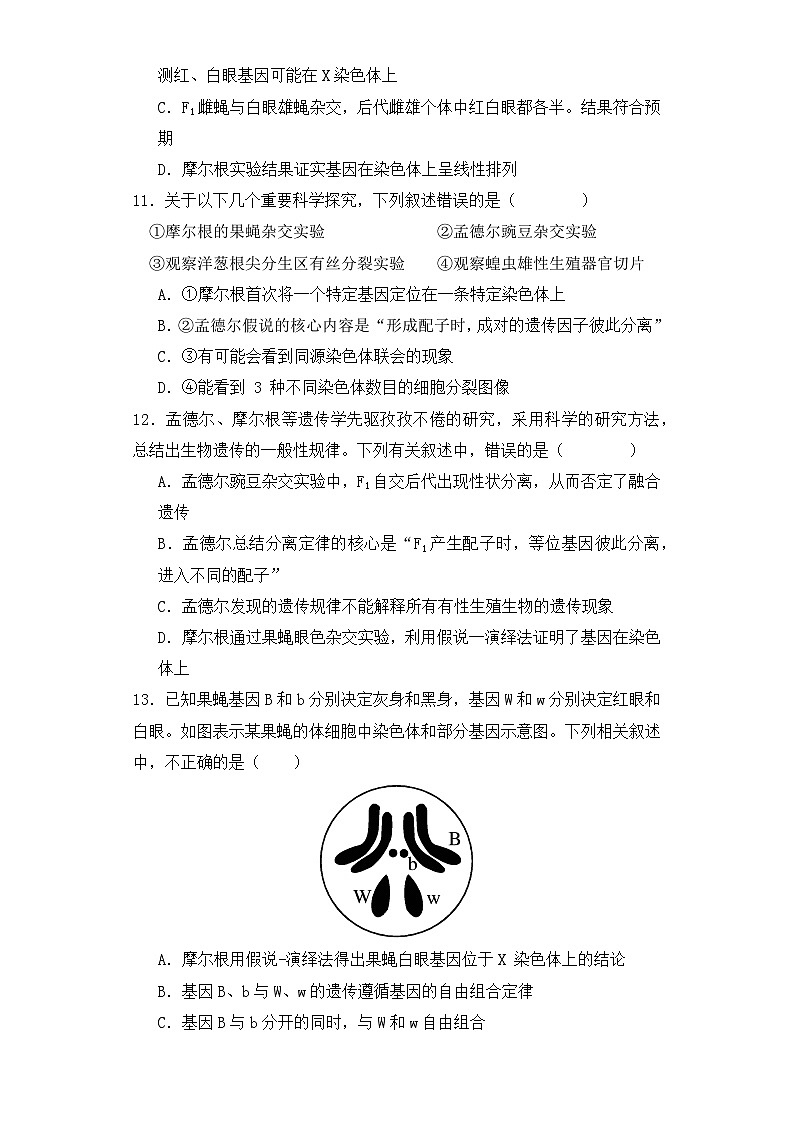 人教版高中生物必修二2.2基因在染色体上同步练习(含答案解析)第3页