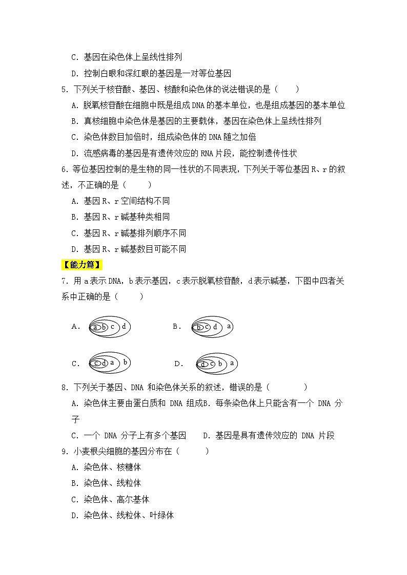 人教版高中生物必修二3.4基因通常是有遗传效应的DNA片段同步练习(含答案解析)02