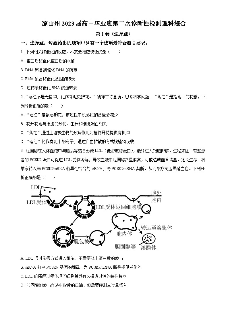 四川省凉山彝族自治州2023届高三下学期第二次诊断检测理综生物试卷（Word版附解析）01