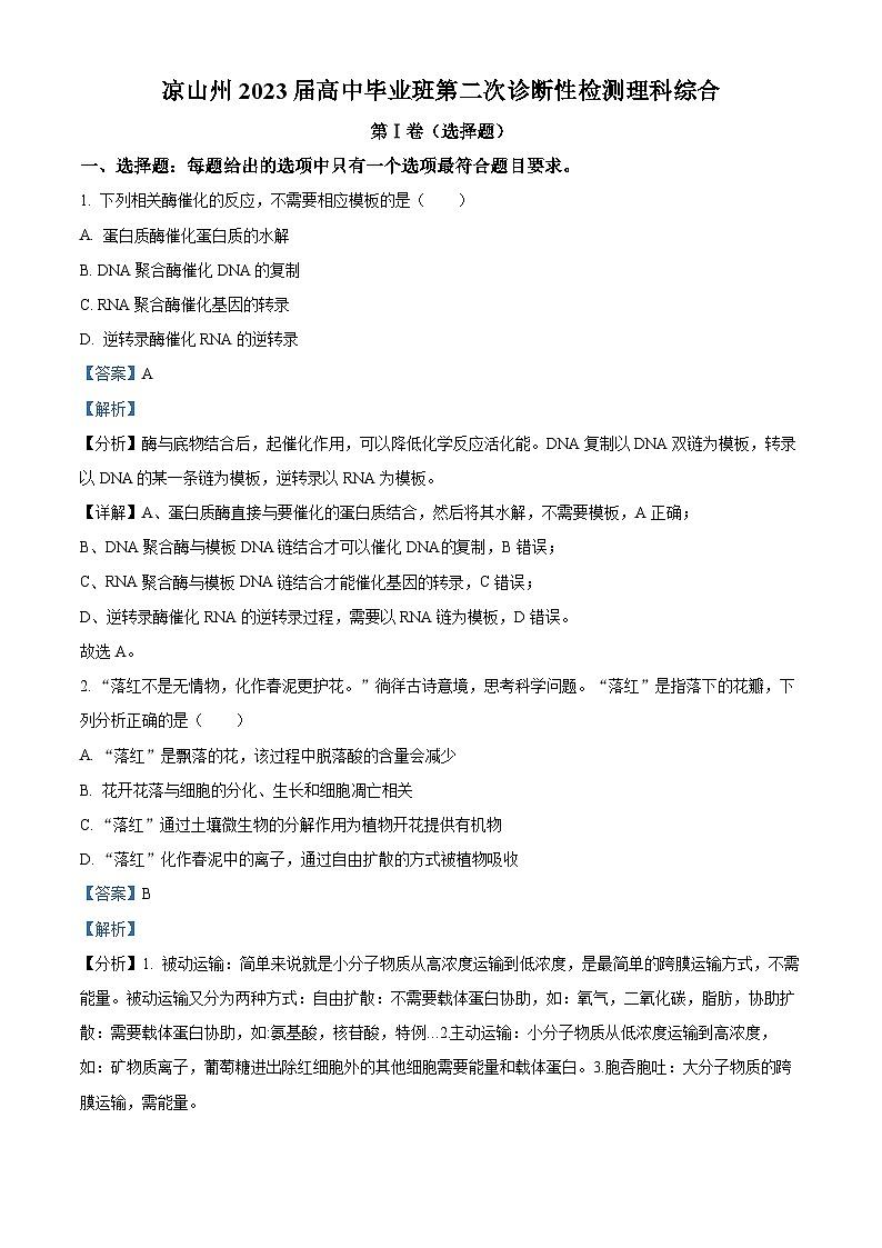 2023屆四川省涼山彝族自治州高三下學(xué)期第二次診斷檢測理綜生物試題  Word版含解析第1頁