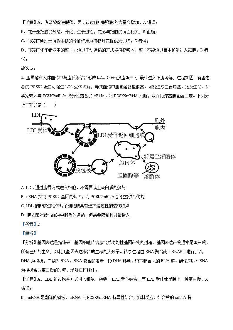 2023屆四川省涼山彝族自治州高三下學(xué)期第二次診斷檢測理綜生物試題  Word版含解析第2頁