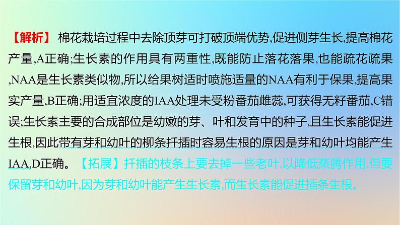 2025版高考生物一轮复习真题精练第九章植物生命活动的调节第31练植物生长素课件第5页