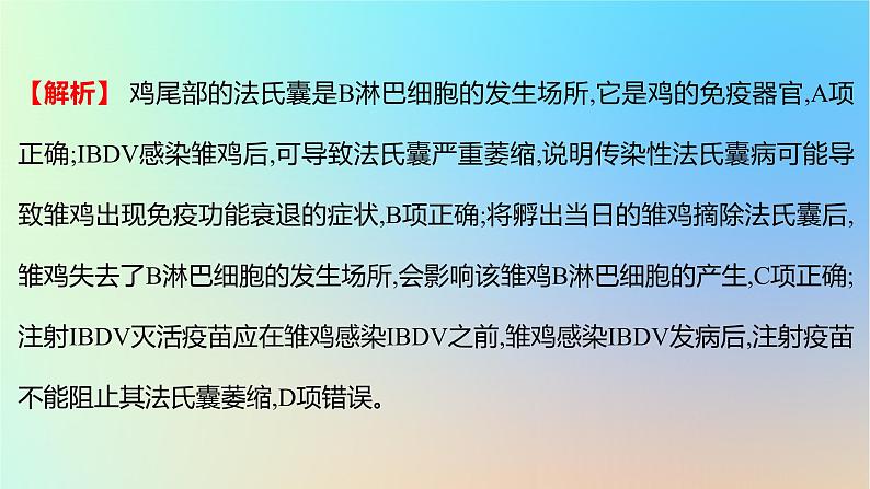 2025版高考生物一轮复习真题精练第八章动物生命活动的调节第30练免疫调节课件第5页