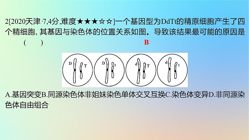 2025版高考生物一轮复习真题精练第七章生物的变异与进化第24练生物变异的类型课件第3页