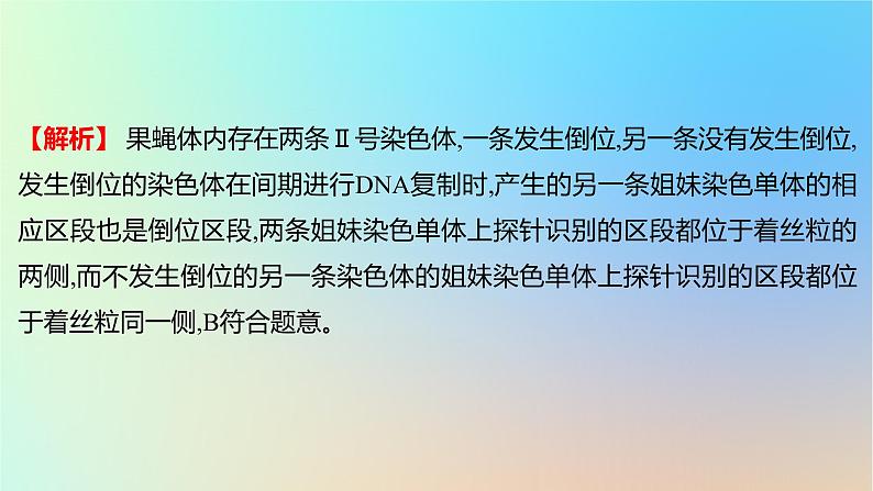 2025版高考生物一轮复习真题精练第七章生物的变异与进化第24练生物变异的类型课件第6页