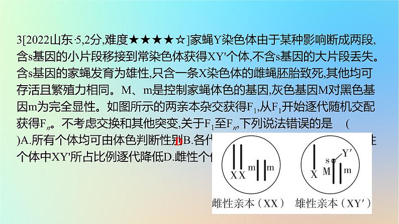 2025版高考生物一轮复习真题精练第五章遗传的基本规律第18练基因在染色体上和伴性遗传课件06