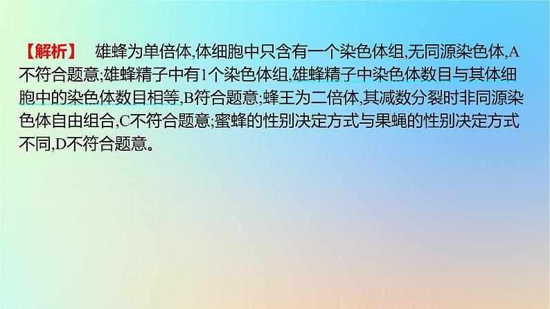 2025版高考生物一轮复习真题精练第四章细胞的生命历程第13练减数分裂和受精作用课件第3页