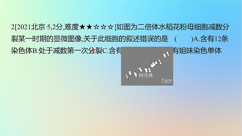 2025版高考生物一轮复习真题精练第四章细胞的生命历程第13练减数分裂和受精作用课件第4页