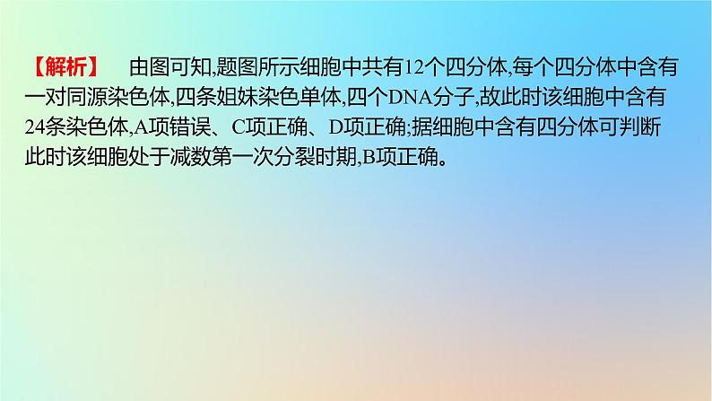 2025版高考生物一轮复习真题精练第四章细胞的生命历程第13练减数分裂和受精作用课件第5页