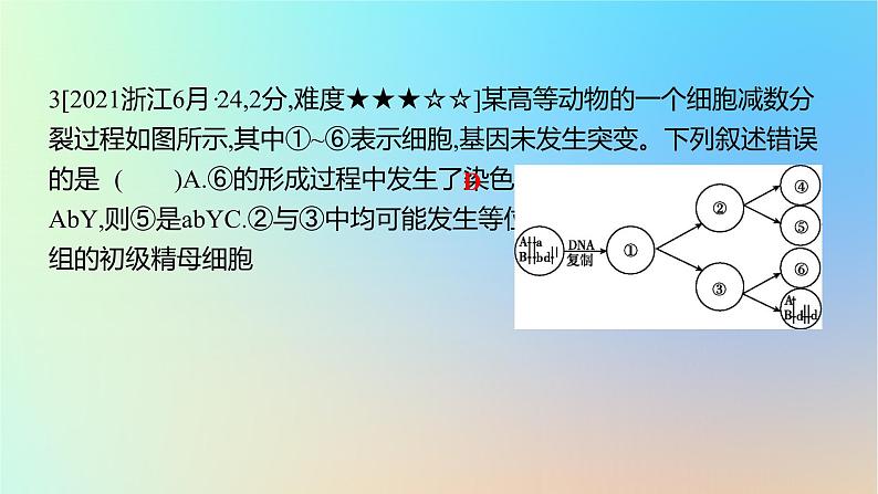 2025版高考生物一轮复习真题精练第四章细胞的生命历程第13练减数分裂和受精作用课件第6页