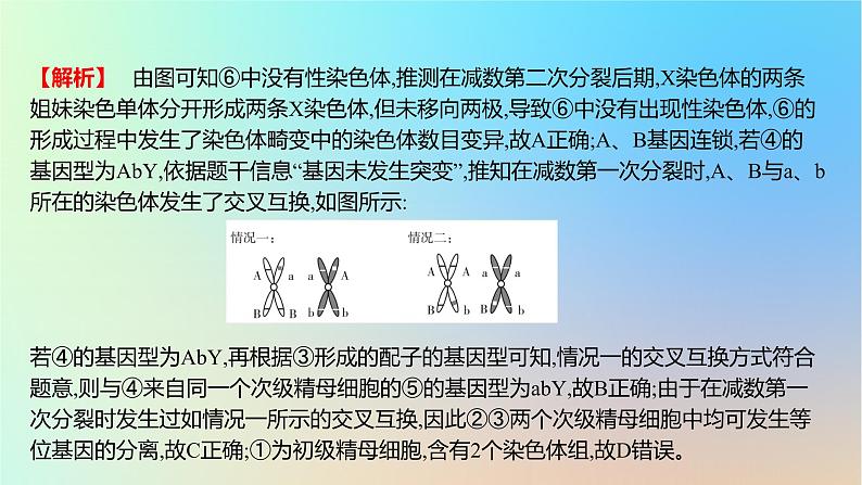 2025版高考生物一轮复习真题精练第四章细胞的生命历程第13练减数分裂和受精作用课件第7页