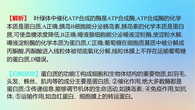 2025版高考生物一轮复习真题精练第一章细胞的分子组成第3练细胞中的蛋白质和核酸课件第3页