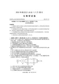 2024年湖北省八市高三下学期3月联考生物试题及答案