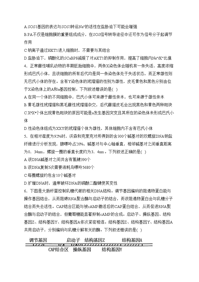 山东省名校2024届高三下学期开学考试生物试卷(含答案)02