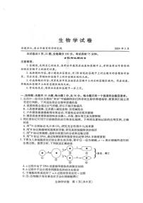 湖北省八市2023-2024高三下学期3月联考生物试卷及答案