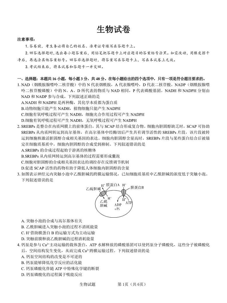 2024张掖某校高三下学期3月模拟考试生物PDF版含解析01