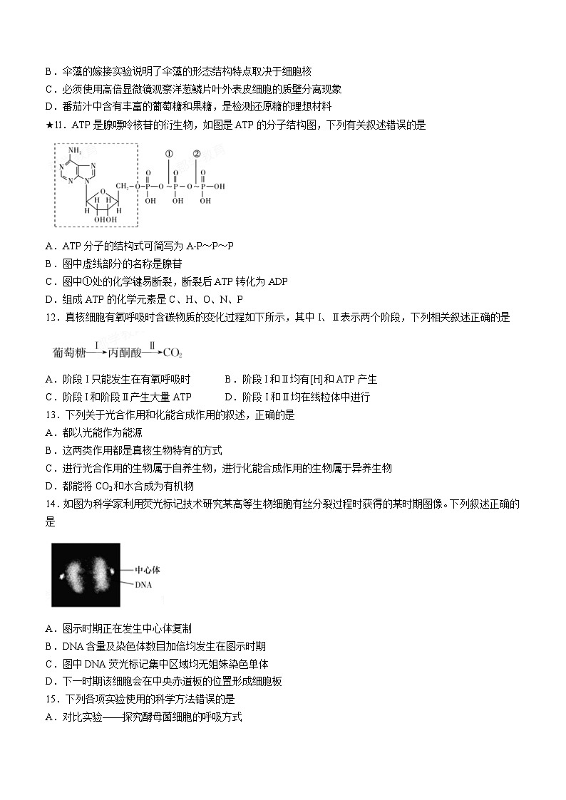 2024湖南省长郡中学高一下学期寒假检测(开学考试)生物含解析03