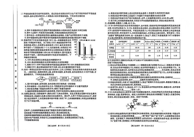 吉林省松原市前郭五中、二中等多校2023-2024学年高三下学期3月月联考生物试题第3页