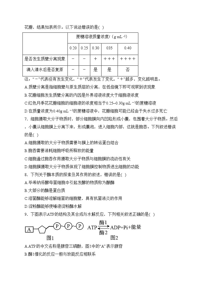 广西部分学校2023-2024学年高一下学期开学考试生物试卷(含答案)第2页