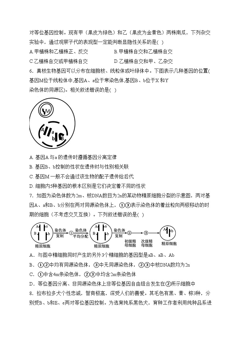 曲阜夫子学校2022-2023学年高一下学期期中考试生物试卷(含答案)02